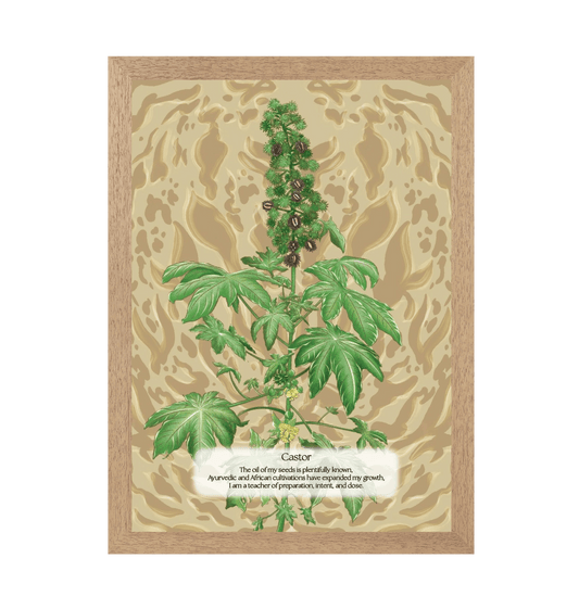 Natural Frame Framed art print Front