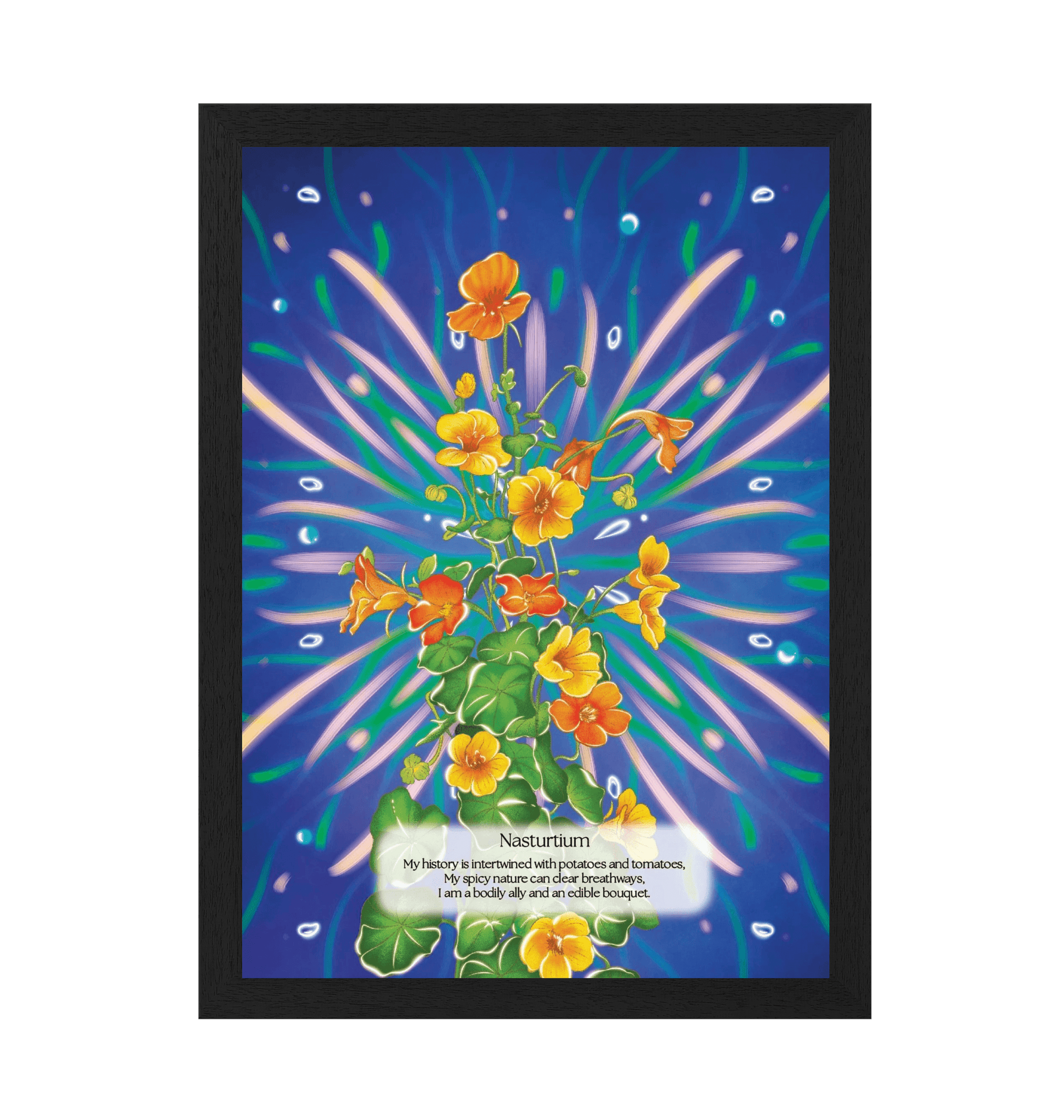 Black Frame Framed art print Front