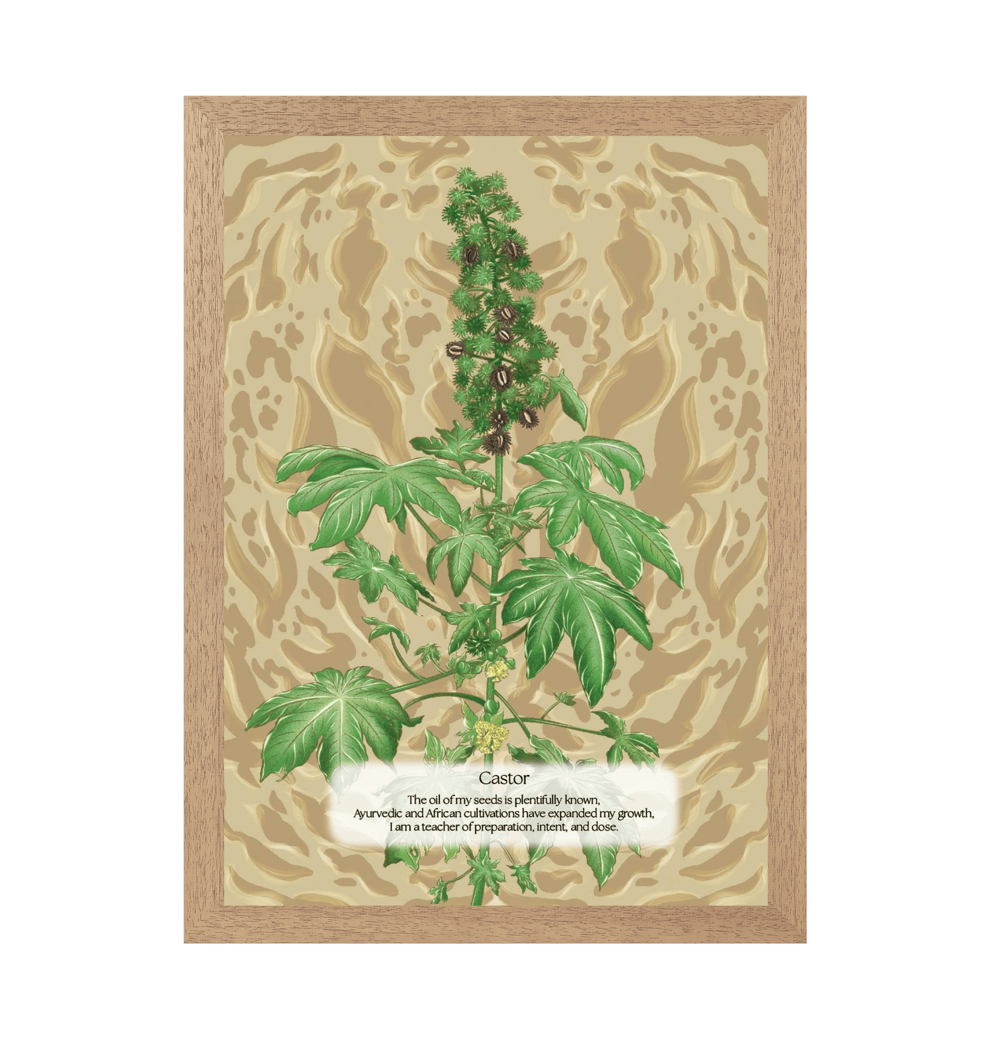 Natural Frame Framed art print Front